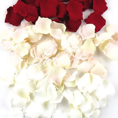 flori frumoase (86) - 0 Alege o floare 0