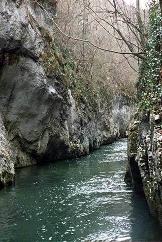 flori frumoase (41) - 0 Alege o floare 0