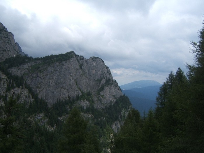 flori frumoase (73) - 0 Alege o floare 0