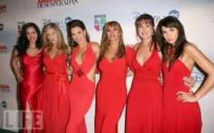 images (20) - Lorna Paz