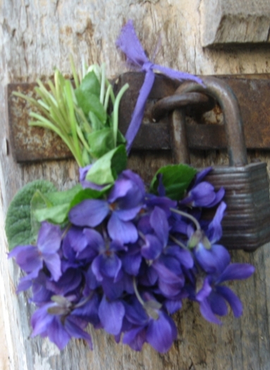 7 aprilie 2011 - Flori din gradina mea