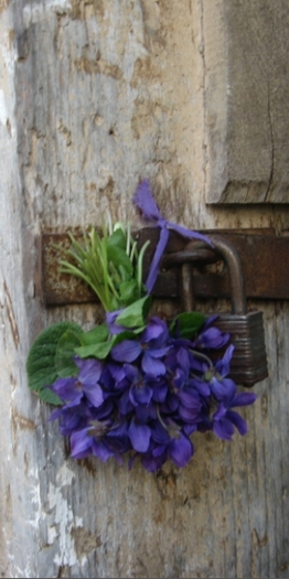 07.04.2011 - Flori din gradina mea
