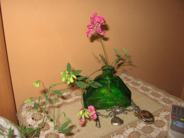 Picture 1364 - Flori din gradina mea