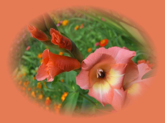 001 - 07_IULIE
