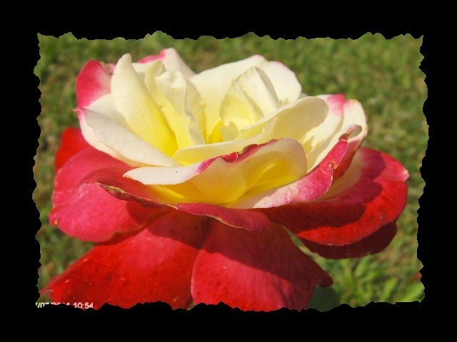 double delight - 07_IULIE