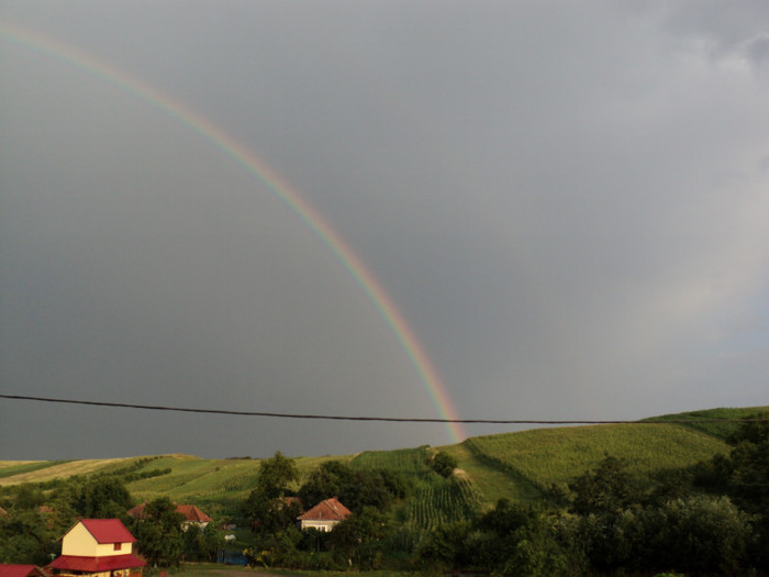 DSC03705 - Gradina noastra