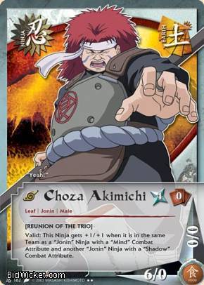 Choza Akimichi