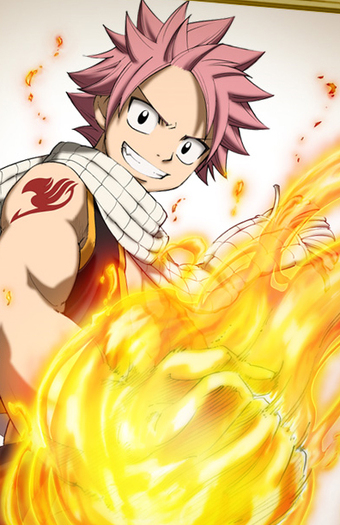 Natsu-4 voturi - concurs 9