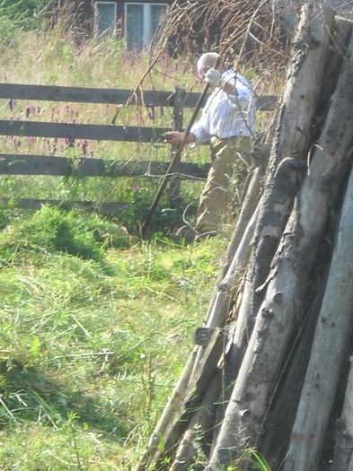 DSCN8249 - COASA LA COLIBITA 2011