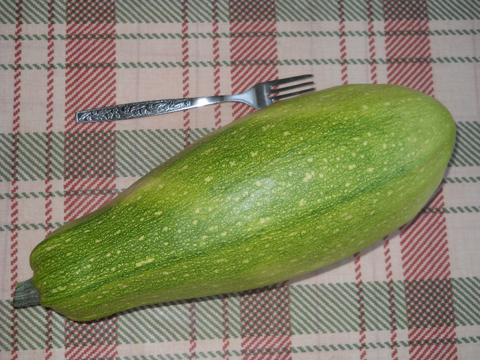 ce zucchi? s-a facut ditamai bostanu