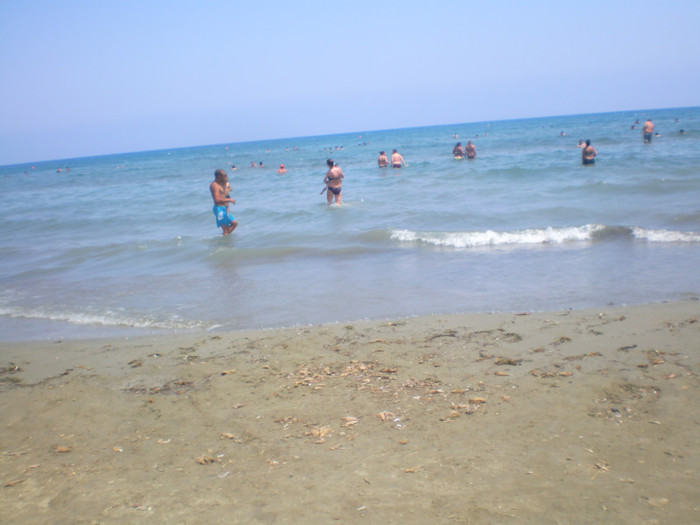 SANY0664