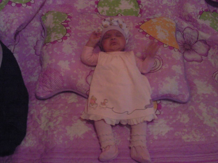 Photo0013