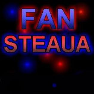 fan+steaua - avatare