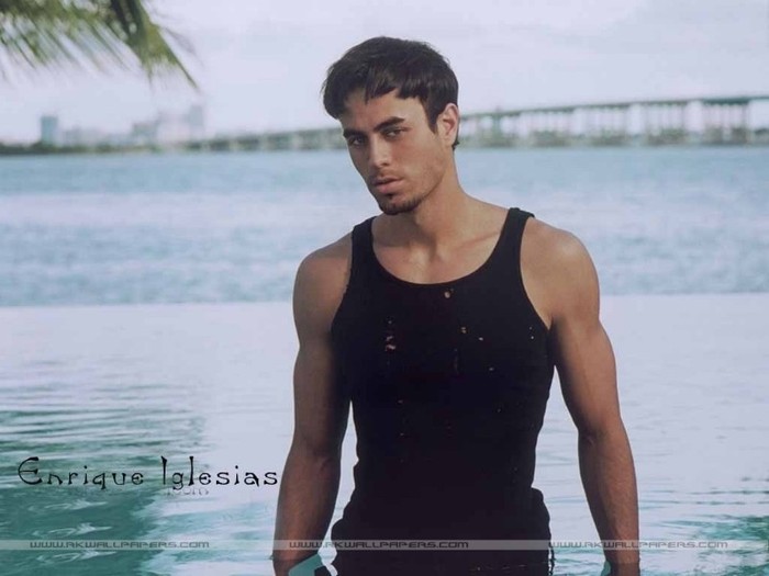 Enrique-Iglesias-enrique-iglesias-11773395-1024-768 - Enrique Iglesias