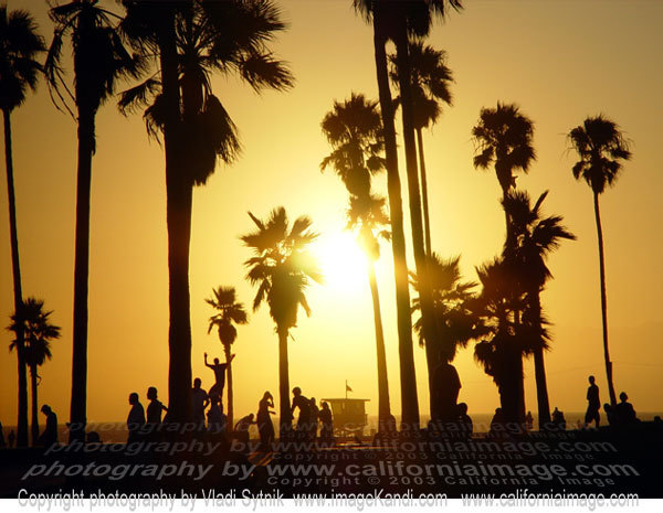 Venice-Beach-Skaters - Hollywood