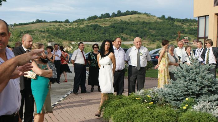 DSC08616 - Nunta  Ioana   si  Adrian  23 07 2011