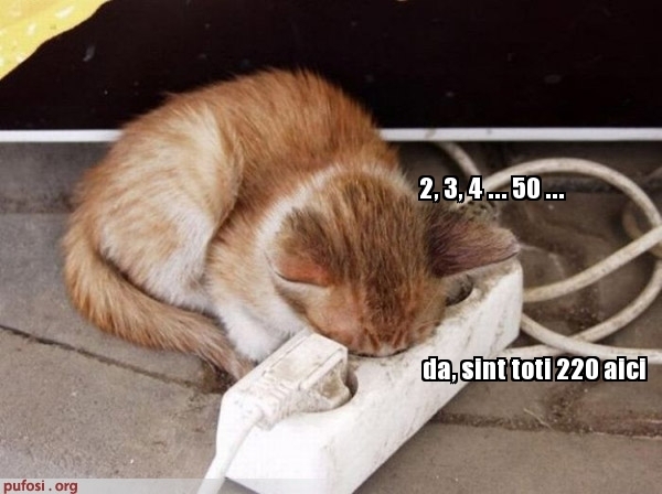 poze-amuzante-cum-sa-verifici-tensiunea-la-priza