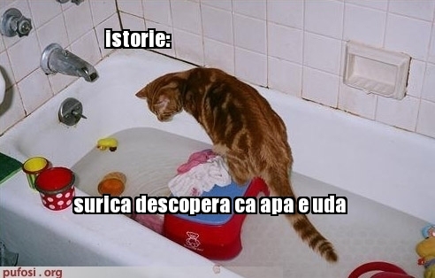 poze-amuzante-istoria-pisicilor - FUNNY ANIMALS