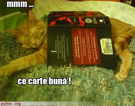 poze-amuzante-pisica-este-multumita-de-carte