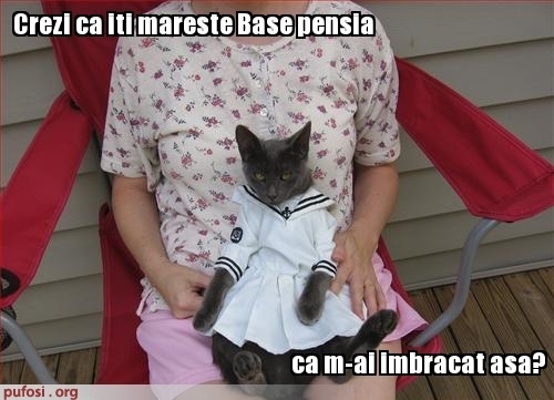 poze-amuzante-pisica-imbracata-ca-basescu