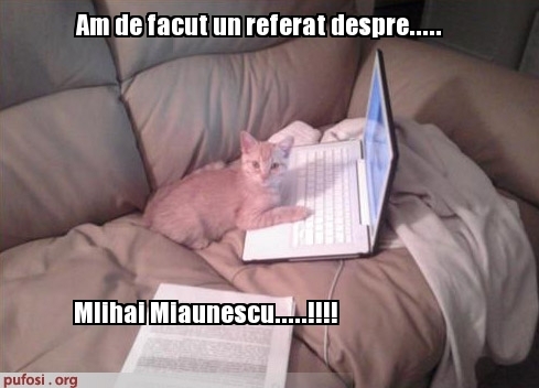 poze-amuzante-pisica-la-laptop