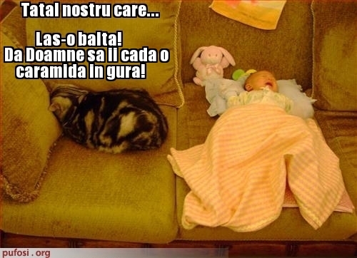 poze-amuzante-pisica-nu-suporta-copiii