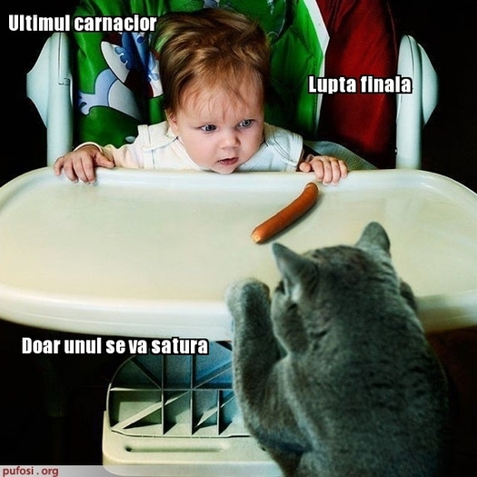 poze-amuzante-pisica-se-bate-cu-un-copil