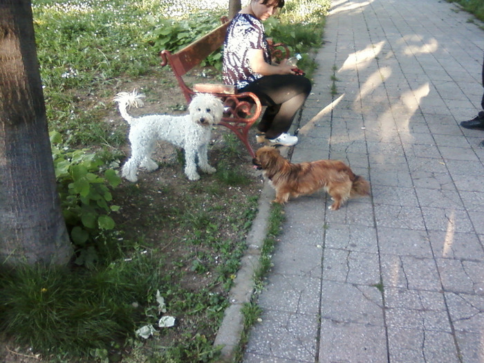 Nikita cu un caine in parc