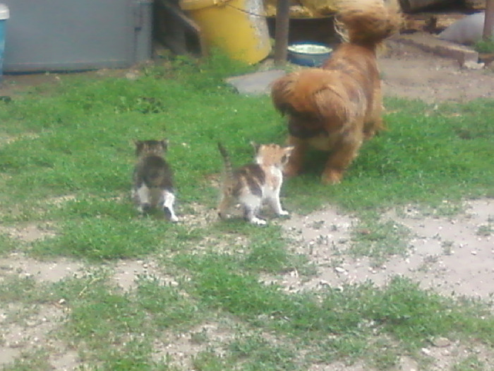 Stai pe loc!!! NU misca!!! =))