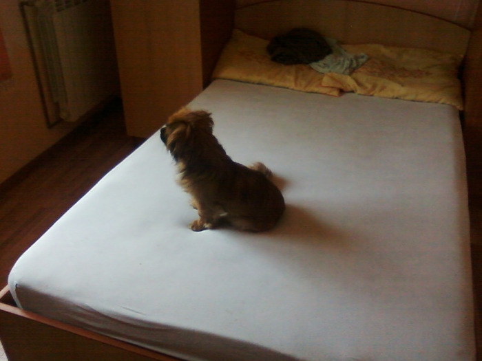 Nikita in pat!!! Privea =))