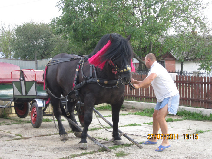 Picture 026