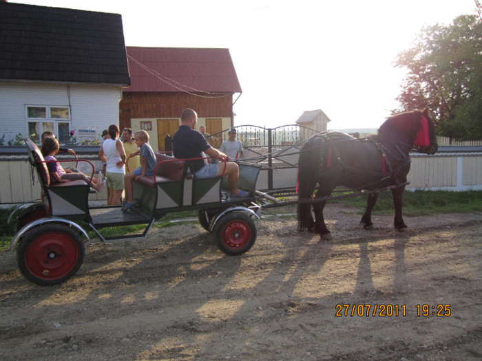 Picture 039