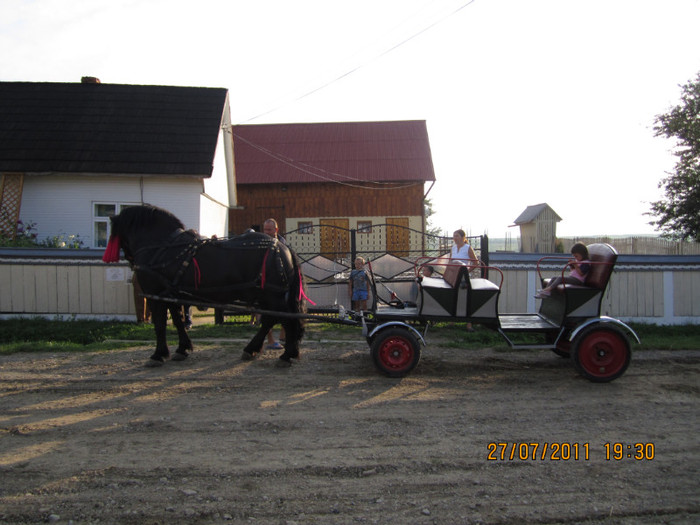 Picture 044