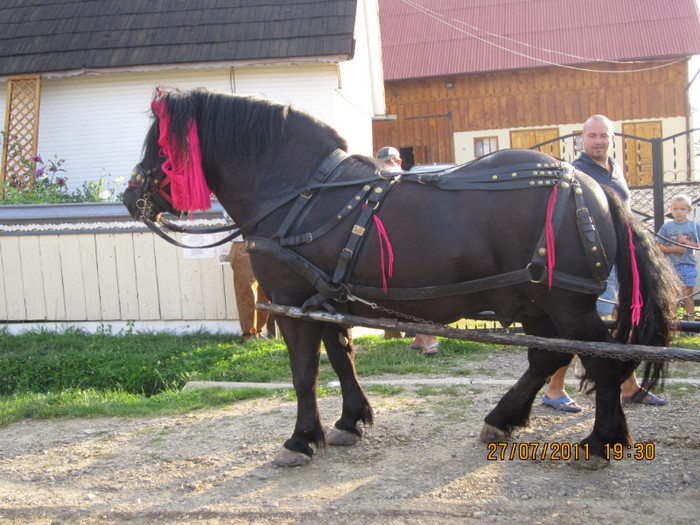 Picture 046