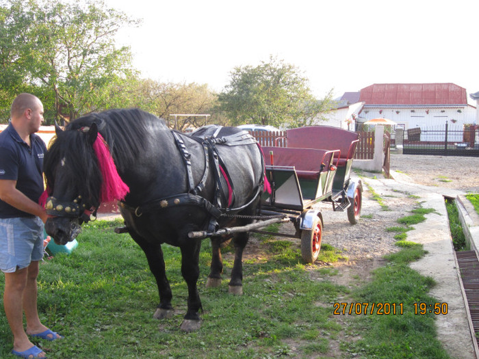 Picture 051