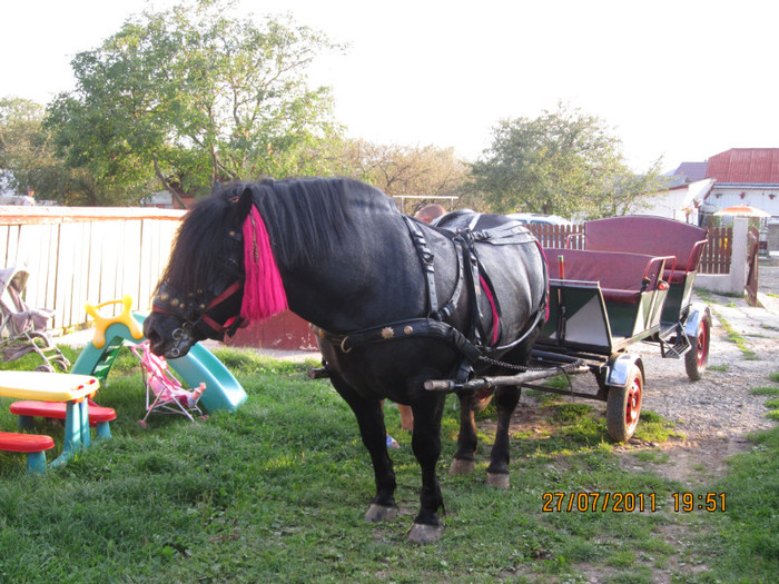 Picture 054