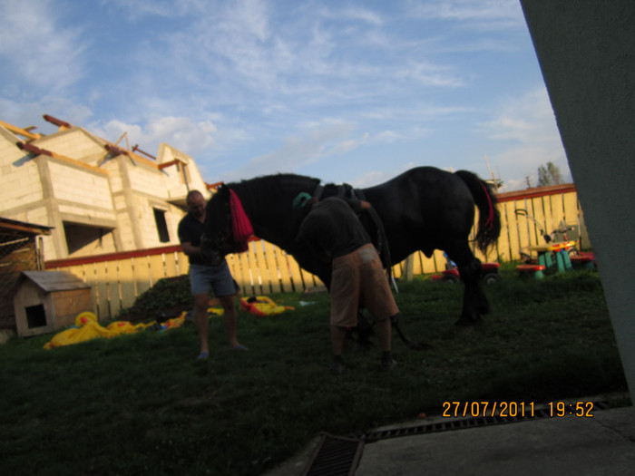 Picture 059