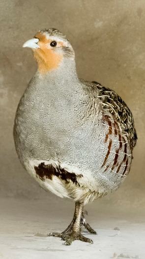 P1160549