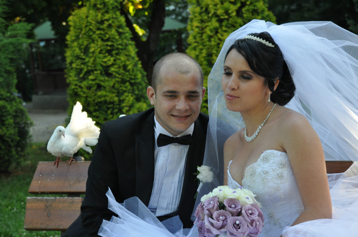 DSC_0230 - Porumbeii  nunti