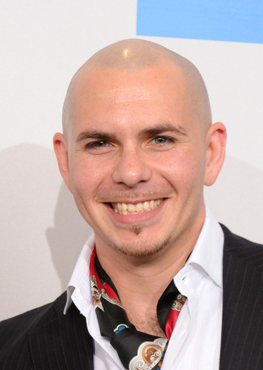 Pitbull - armando christian perez