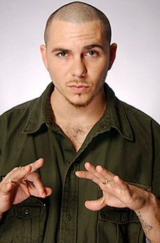 pitbull01