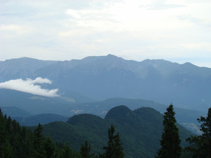 DSC07791
