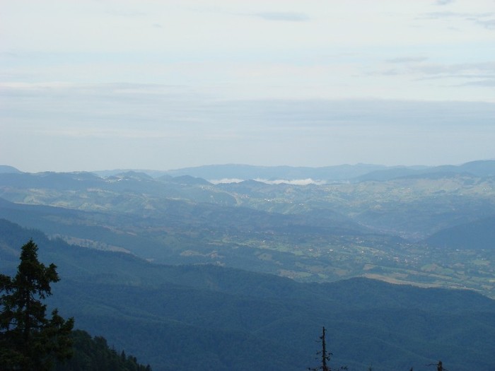 DSC07801