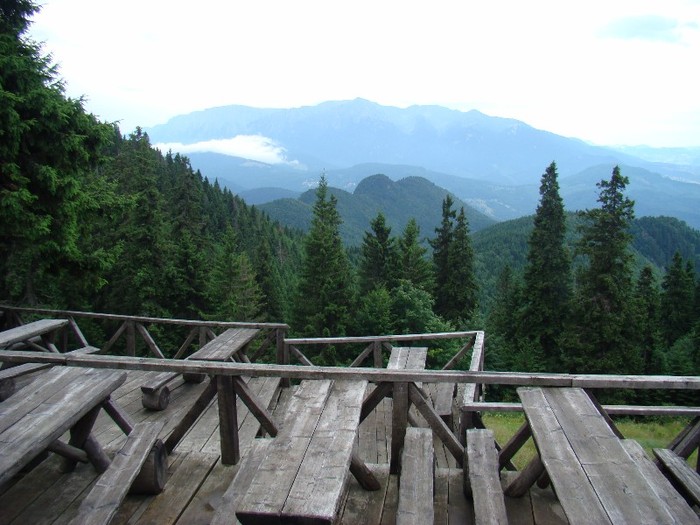 DSC07804