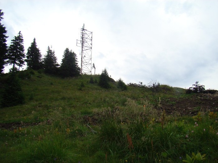 DSC07808