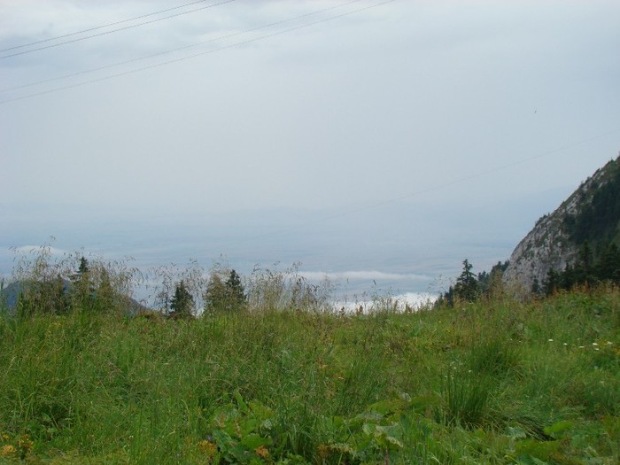 DSC07814