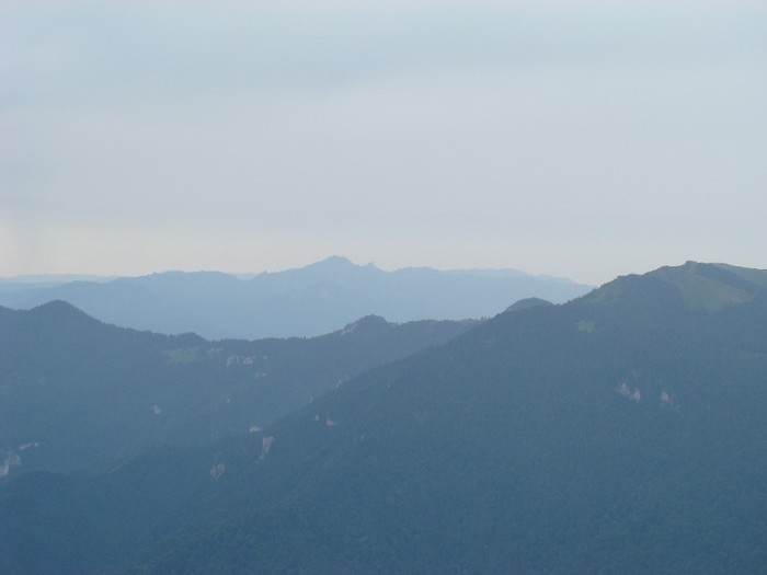 DSC07833