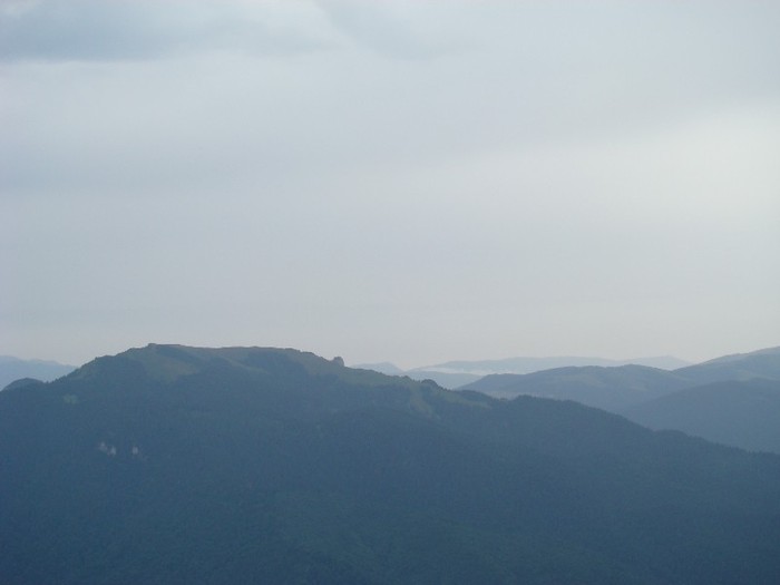 DSC07834