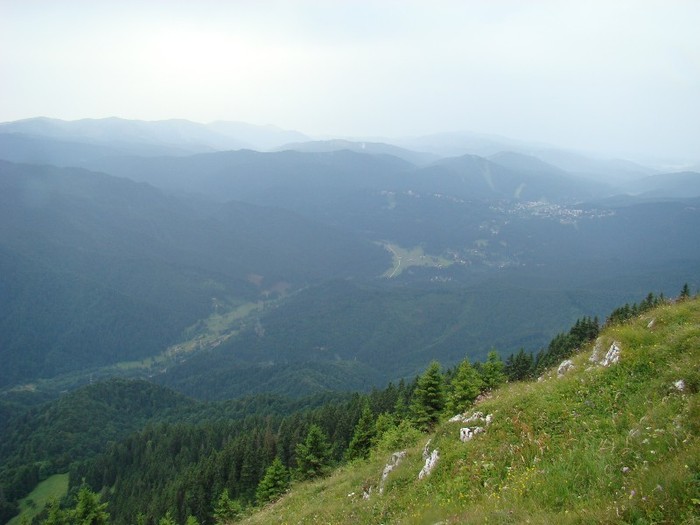 DSC07840