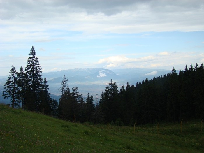 DSC07855